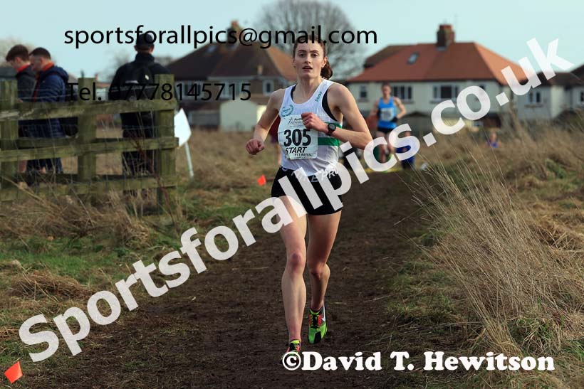 Senior Womens 2024 Northern Cross Country Champs., Sedgefield. Photo: David T. Hewitson/Sports for All Pics